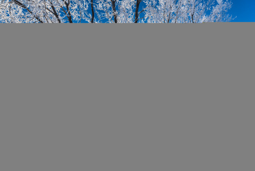 1060258 (a): :2048x1367